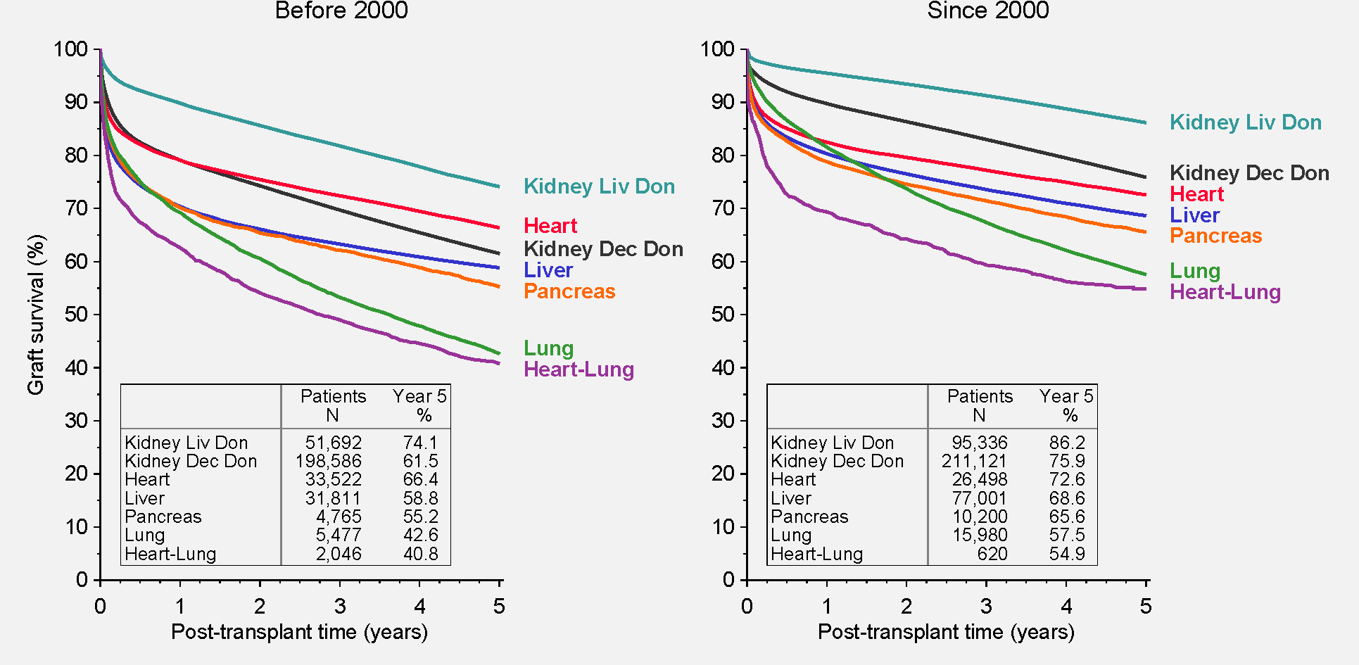 Graph: comparison of graft survival rates in two transplant periods